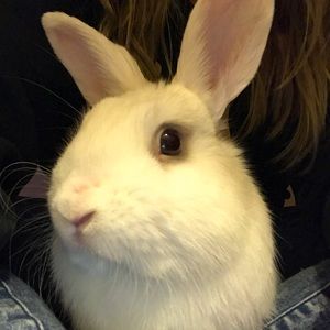 Meet your Posher, Jaimey